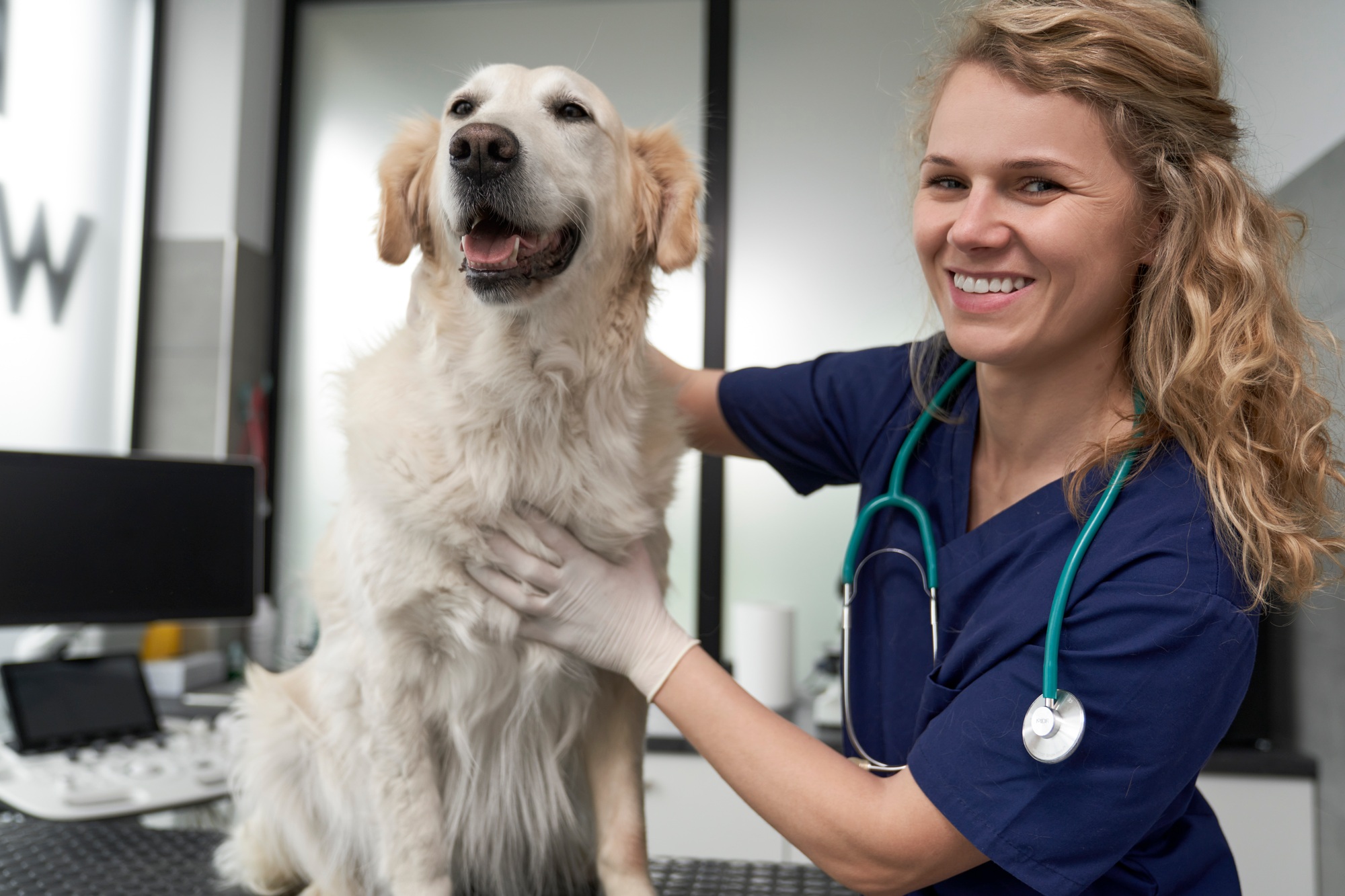Portrait of female doctor with dog at vet's office